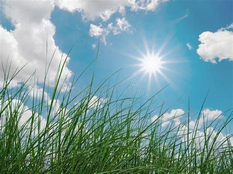 Green Grass Sky Clouds And Sun Stock Photo Image Of Field Natural