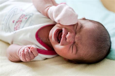 Beautiful Crying Newborn Baby Stock Image Image Of Innocent Cute