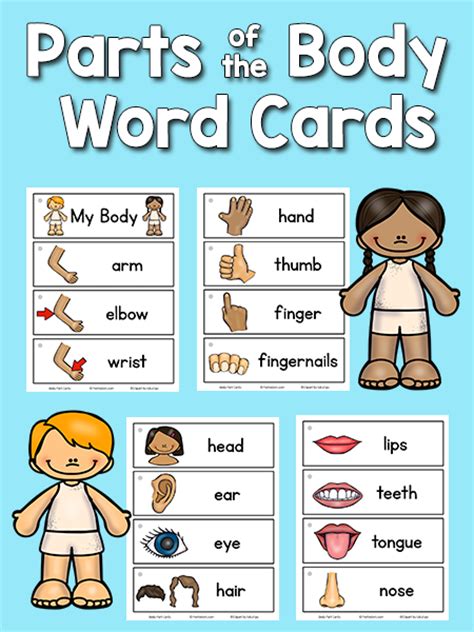 Body Parts Picture Word Cards Prekinders