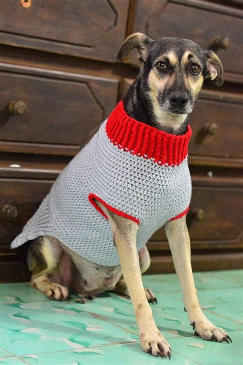 Dog Sweater Crochet Pattern Xxs Extra Small Small Medium Etsy Dog