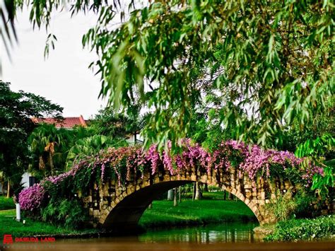 This puts the men and women who dedicate their lives to upholding law and order in grave danger. swan lake and flower bridge (With images) | Garden bridge ...