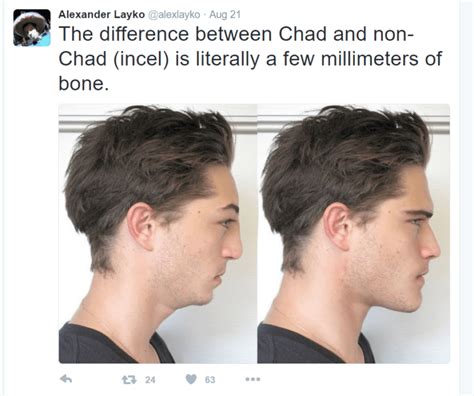 Aesthetics wiki does not endorse incel ideology. What is an incel? How does it overlap with otaku culture ...