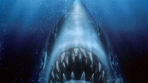 Jaws Actress Lee Fierro Whose Mrs Kintner Slaps Chief Brody Dies