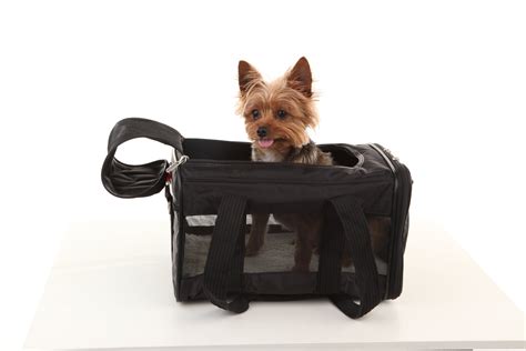 Sherpa® Travel Original Deluxe™ Airline Approved Pet Carrier, Large