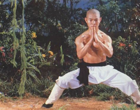 64 Best Images About Jet Li Chinese Kung Fu Movies On