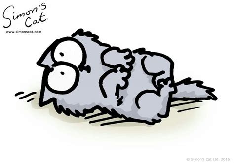 the kitten simon s cat wiki fandom