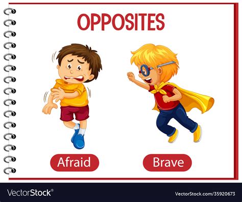 Opposite Words With Afraid And Brave Royalty Free Vector