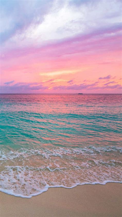 Engaging Pink Beach Wallpaper 31 Gorgeous Beach Scenes Free In 2023