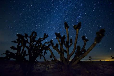 Hd Wallpaper Stars At Night Milky Way Sky Landscape Desert Cactus
