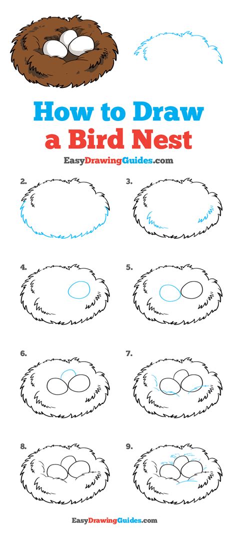 How To Draw A Bird Nest Really Easy Drawing Tutorial Bird Drawings