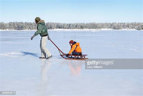 Pulling Sled Photos And Premium High Res Pictures Getty Images