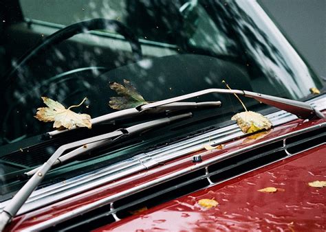 Signs Of A Worn Out Wiper Blade