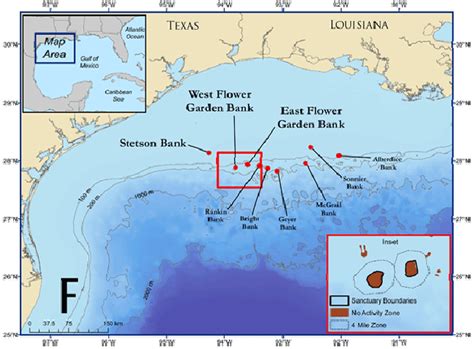 Western Gulf Of Mexico And The Location Of The Flower Garden Banks