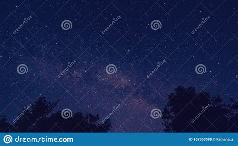 milky way over trees landscape affect the viewer`s imagination dense virgin forests on the