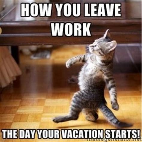 15 Vacation Memes To Get You Thinking About Summer And Good Times