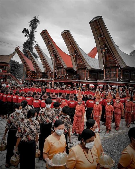 5 Fakta Unik Upacara Adat Rambu Solo Di Toraja