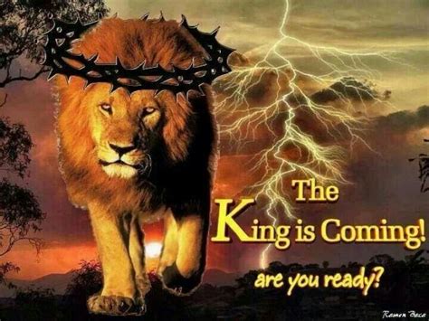 The King Is Coming Jesus Is Coming Lion Of Judah Tribe Of Judah