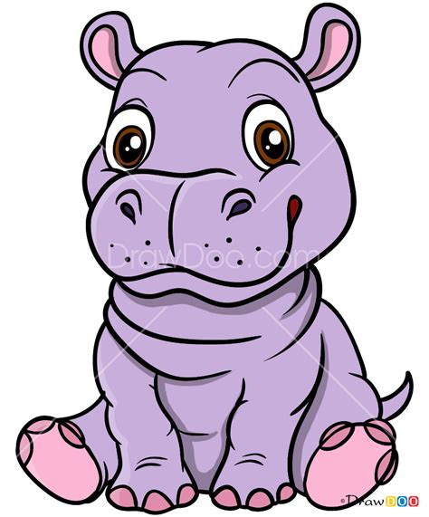 How To Draw Baby Hippo Baby Animals