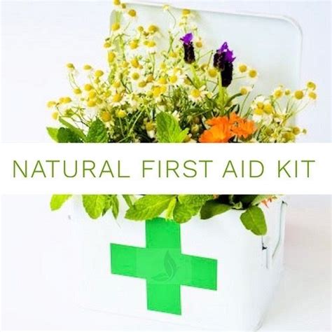 Natural First Aid Kit Diy First Aid Kit Red Raspberry Leaf Good Gut