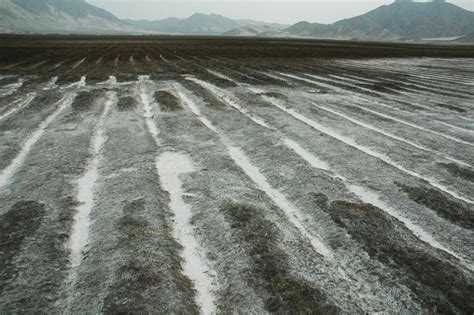 Salty Soils And What We Can Do About Them Writing In The Natural Sciences