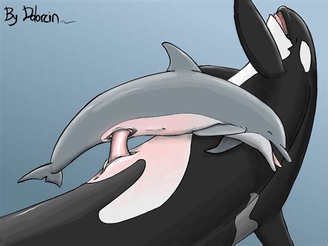 Rule 34 Cetacean Dolorcin Dolphin Female Male Marine Orca Penetration