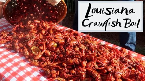 Louisiana Style Crawfish Boil Recipe Besto Blog