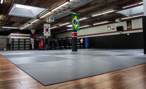 Check spelling or type a new query. How Much Do MMA/BJJ Gym Memberships Cost? - The MMA Guru