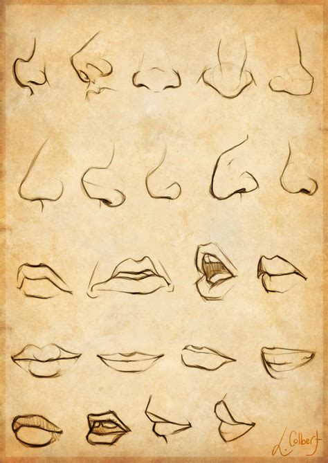Nose And Mouth Sketches By Saoshinda On Deviantart
