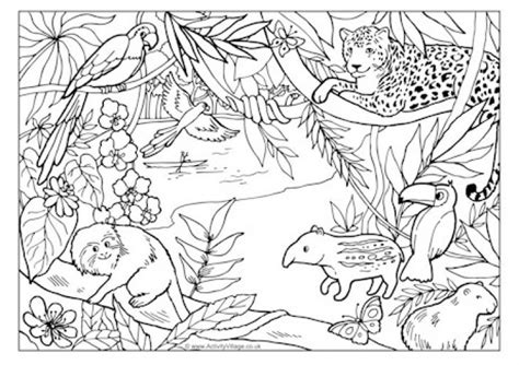 Free Printable Rainforest Diorama Printables Rainforest Animal