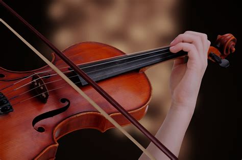 Información Y Características De La Viola Musicasencilla