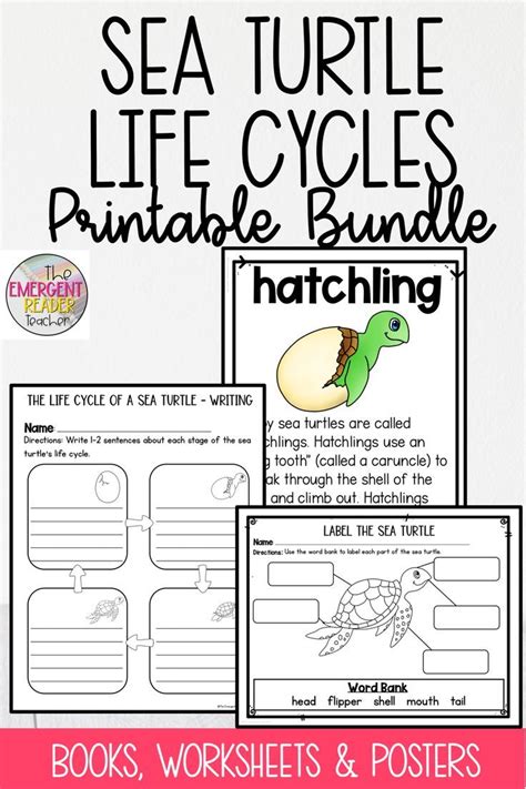 All About Sea Turtles Life Cycle Posters Printables In 2021