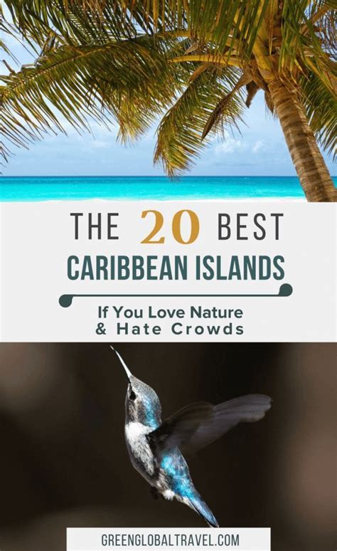the 20 best caribbean islands to visit if you love nature caribbean islands to visit