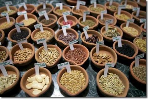 How To Make Your Own Seed Bank Nexus Newsfeed