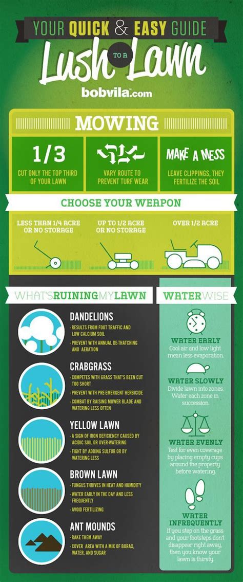 17 Best Images About Spring Lawn Care Tips On Pinterest