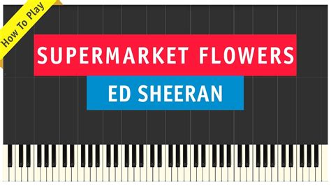 Check out all of my divide lessons here: Ed Sheeran - Supermarket Flowers - Piano Cover Chords ...