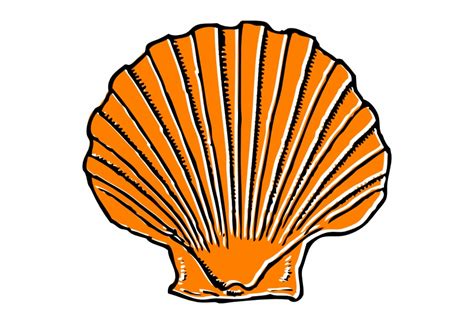 Small Clipart Sea Shell Clip Art Library