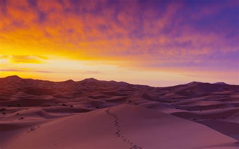 Desert Sunset Wallpapers Top Free Desert Sunset Backgrounds