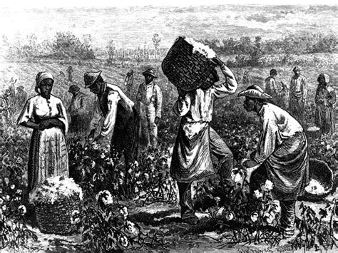 7 Things About The Field Workers During Slavery That You May Not Know