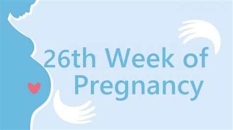 26 Weeks Pregnant Symptoms And Signs Pregnancy Week By Week