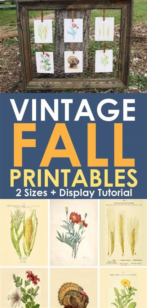 Free Vintage Printables For Fall