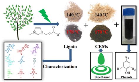 Green Process For Extraction Of Lignin By The Microwave Assisted Ionic