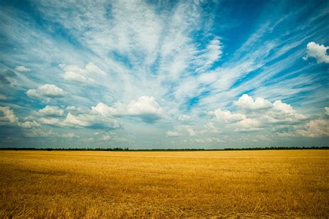 You'll find blue sky images, pictures of the night sky, cloudy skies, rainbows, aurora borealis, starry skies, landscape sky photos and more. Sky Images · Pexels · Free Stock Photos