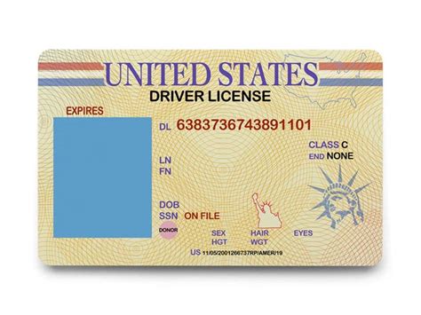 The Different Types Of Drivers Licenses Explained Viral Rang