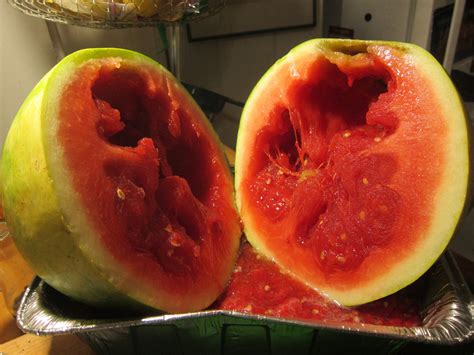 I Accidentally Bought A Watermelon That Was Rotten Inside It Actually