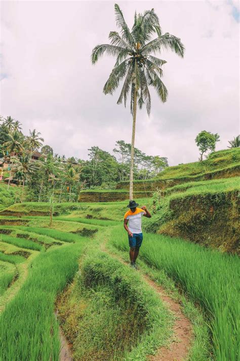 9 Very Best Hikes In Bali To Experience Hand Luggage Only Travel