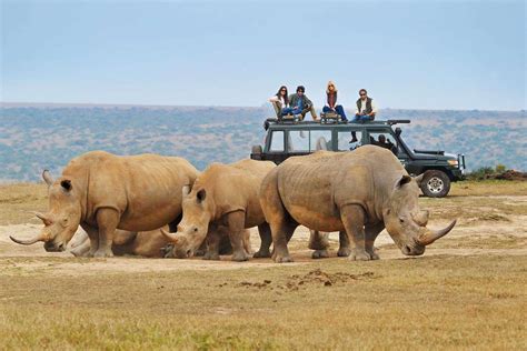 African Safari Tour Companies Worlds Best In 2021
