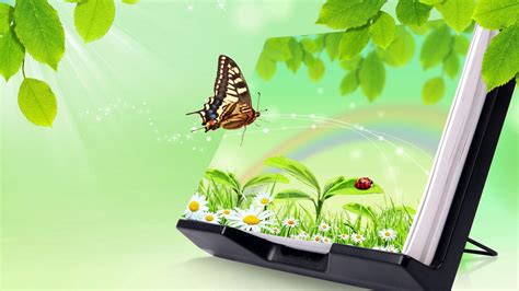 Whether you cover an entire room or a single wall, wallpaper will update your space and tie your home's look. 3d Images of Nature for Desktop Background with Butterfly ...