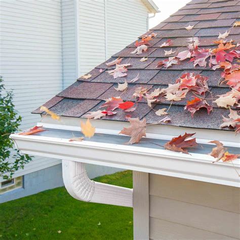 Leaf Filter Gutter Guards Review Must Read This Before Buying