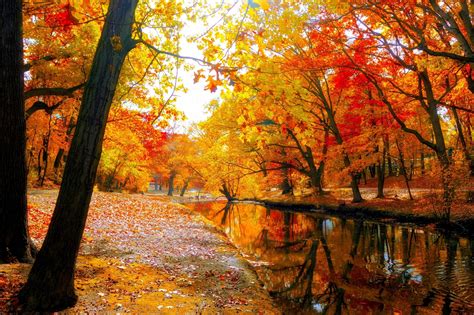 River In Autumn Park 4k Ultra Hd Wallpaper Background Image 4864x3241