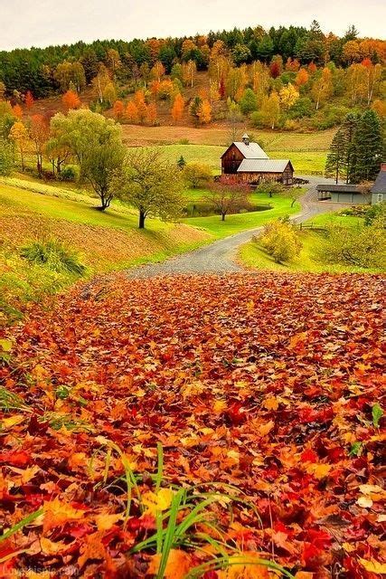 Autumn Countryside Trees Autumn Country Leaves Beautiful Fall Fall